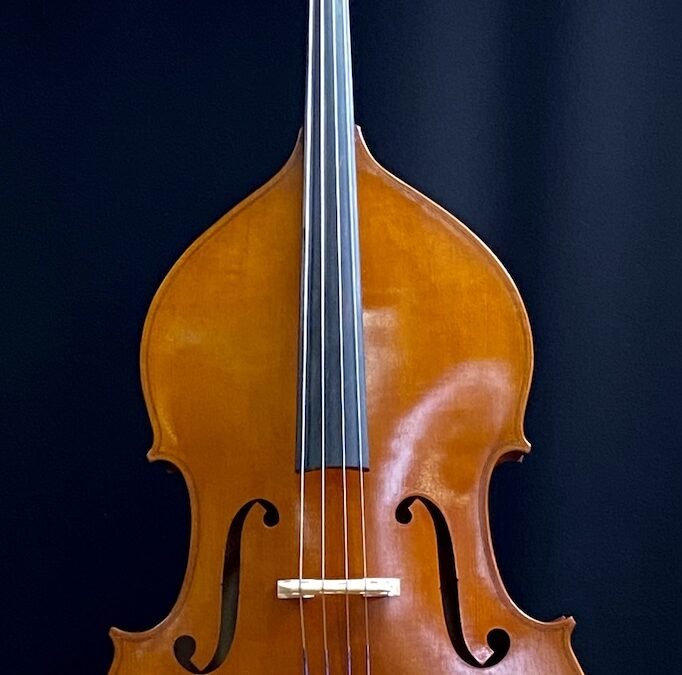 2. ¾ Contrabas model ‘Parma’, gelamineerd
